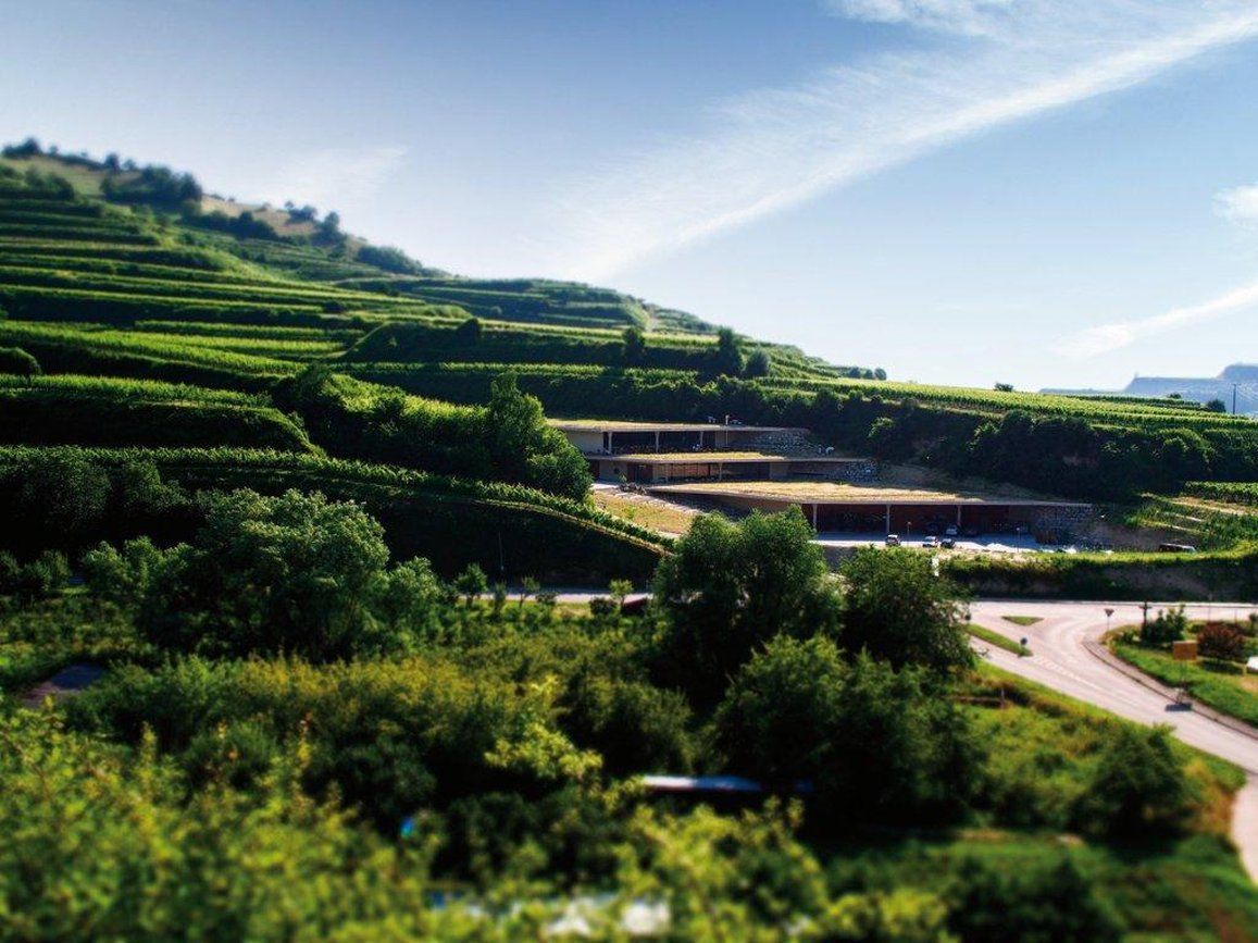 Schwarzer Adler Vogtsburg Amenidades foto
