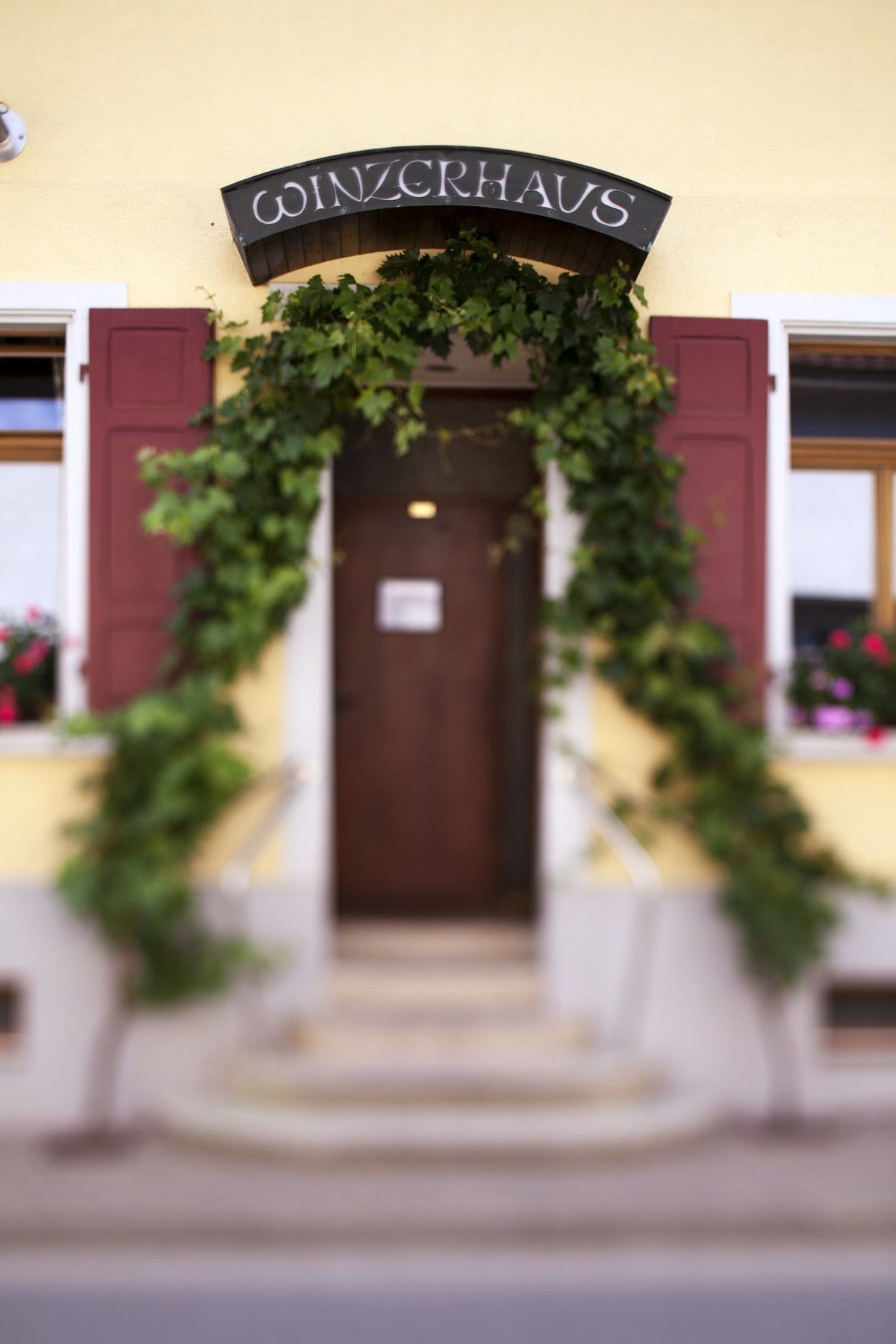 Schwarzer Adler Vogtsburg Restaurante foto