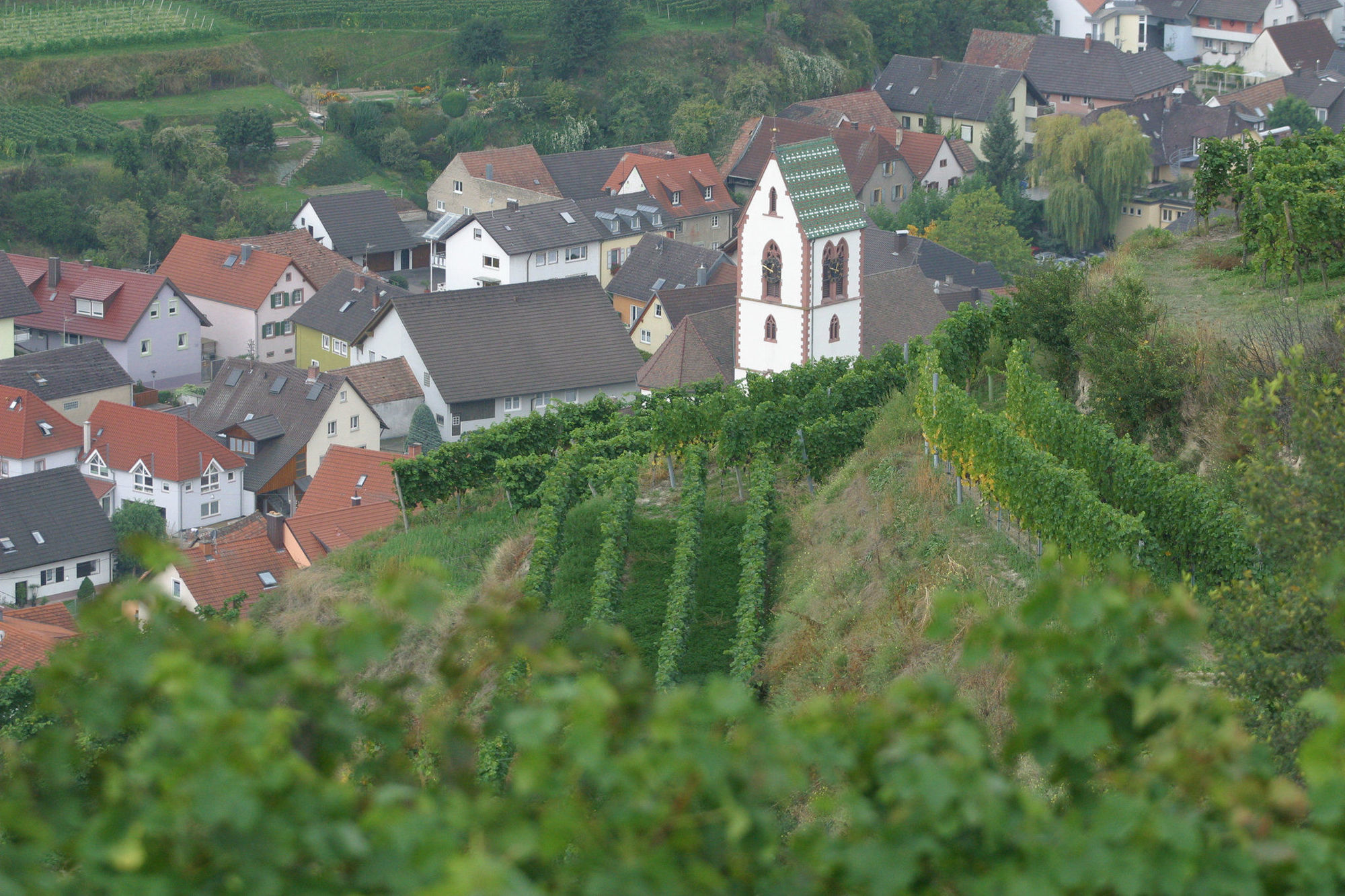 Schwarzer Adler Vogtsburg Exterior foto